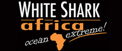 White Shark Africa